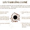ca-phe-bot-rang-xay-nguyen-chat